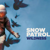 Snow Patrol at Beaumont Club
