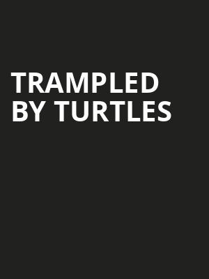 Trampled by Turtles Poster