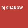 DJ Shadow, Madrid Theatre, Kansas City